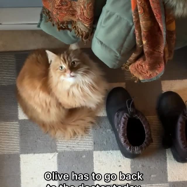  .........tofficial   'recent posts' 