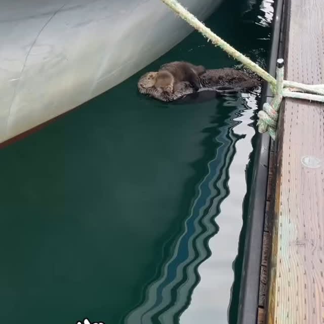  .......festory   'recent posts' 