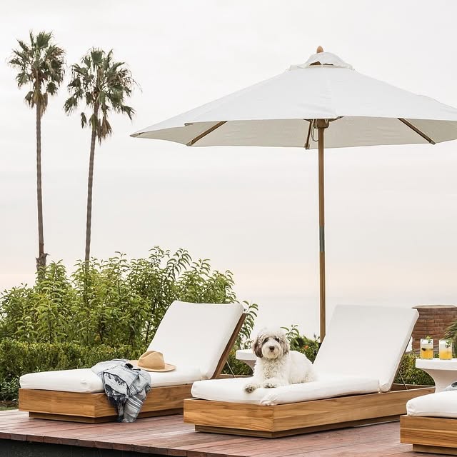  ......living   'recent posts' 