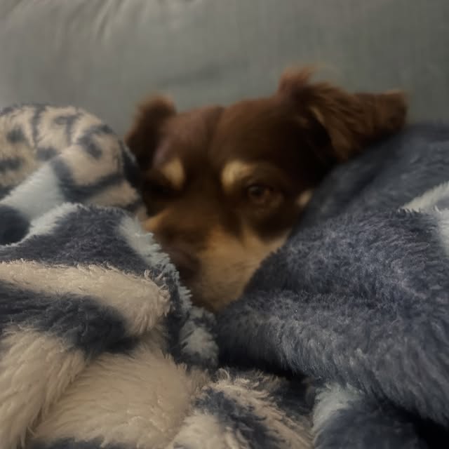  .....og2020   'recent posts' 