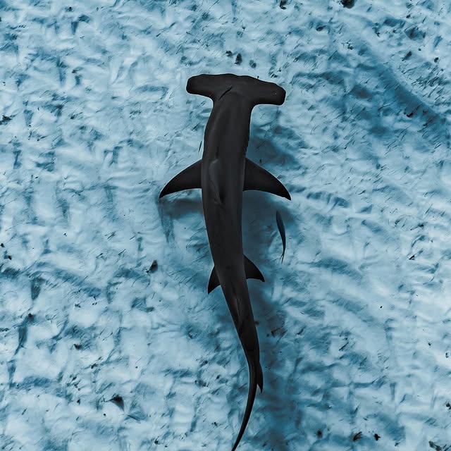  ......uecoast   'recent posts' 