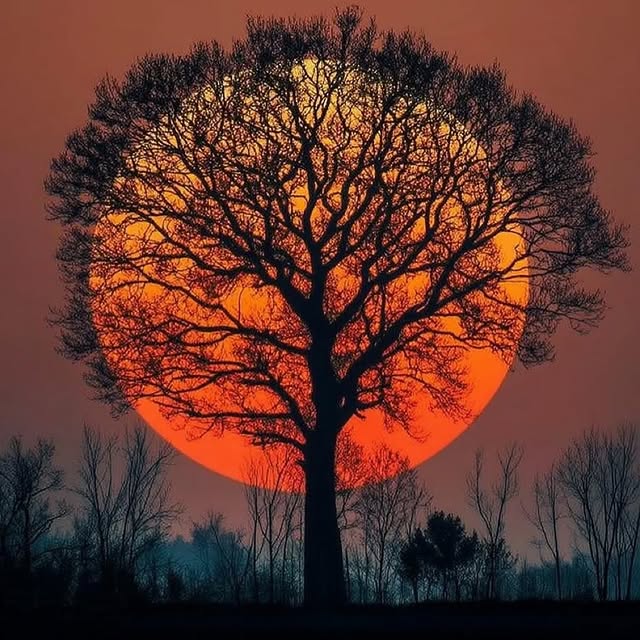  ......inside   'recent posts' 