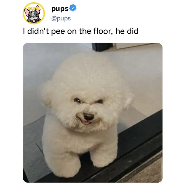  ..ps   'recent posts' 