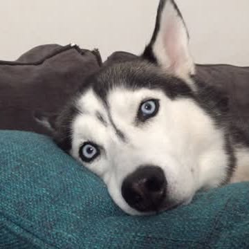  .....tmiles   'recent posts' 