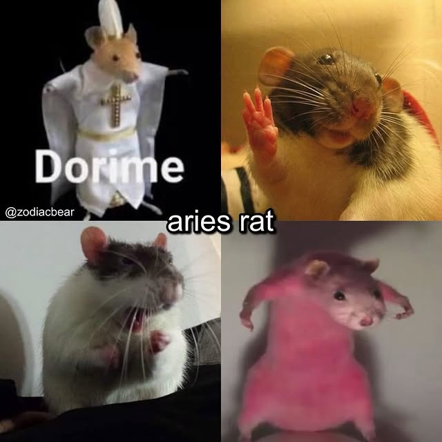  ......rlrise   'recent posts' 