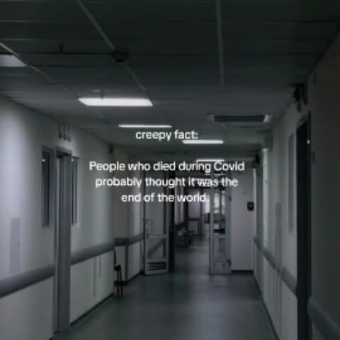  .......msvideos   'recent posts' 