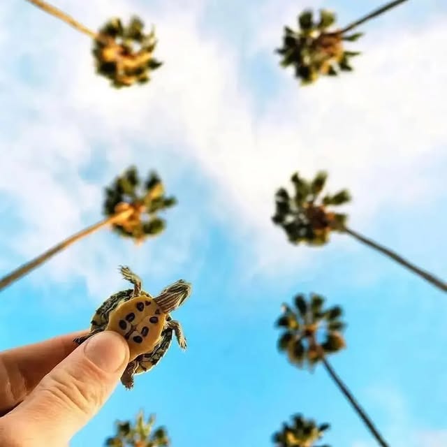  .......photo   'recent posts' 