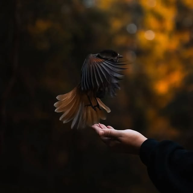  ........vacations   'recent posts' 