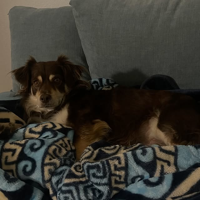  .....og2020   'recent posts' 