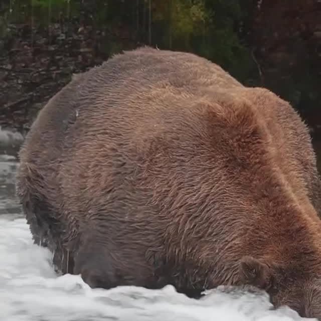  ......fehood   'recent posts' 