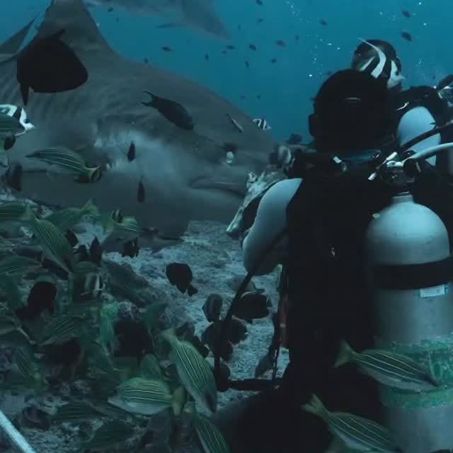  .......s.images   'recent posts' 