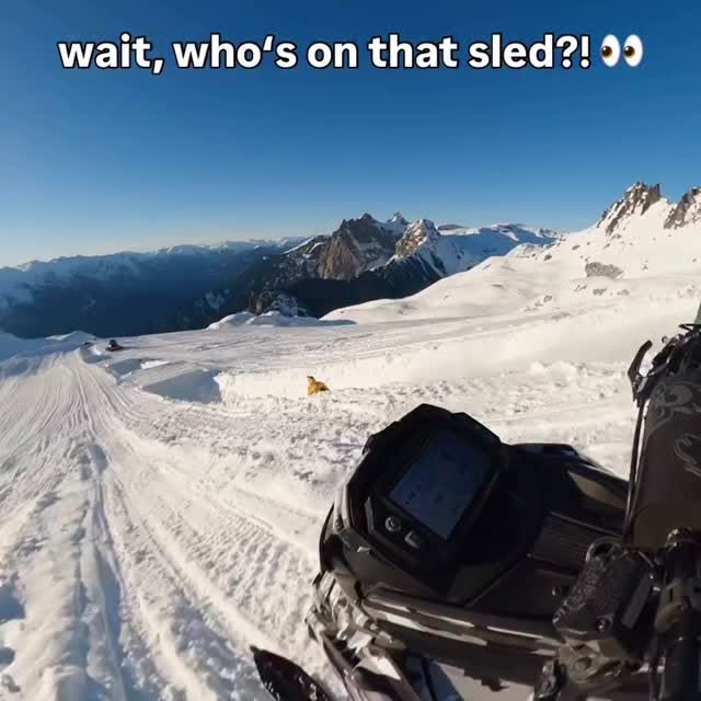  .......vibez   'recent posts' 