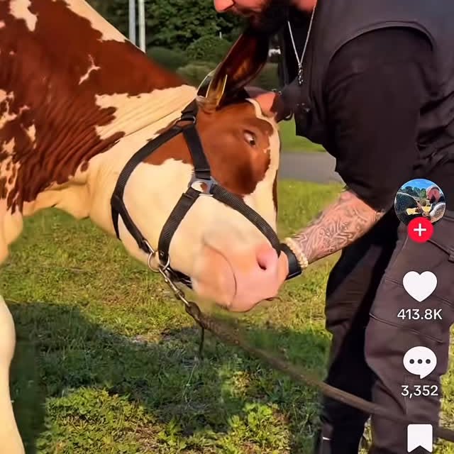  ............vening_kisser   'recent posts' 