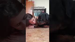  .......ler Life  'recent videos' 