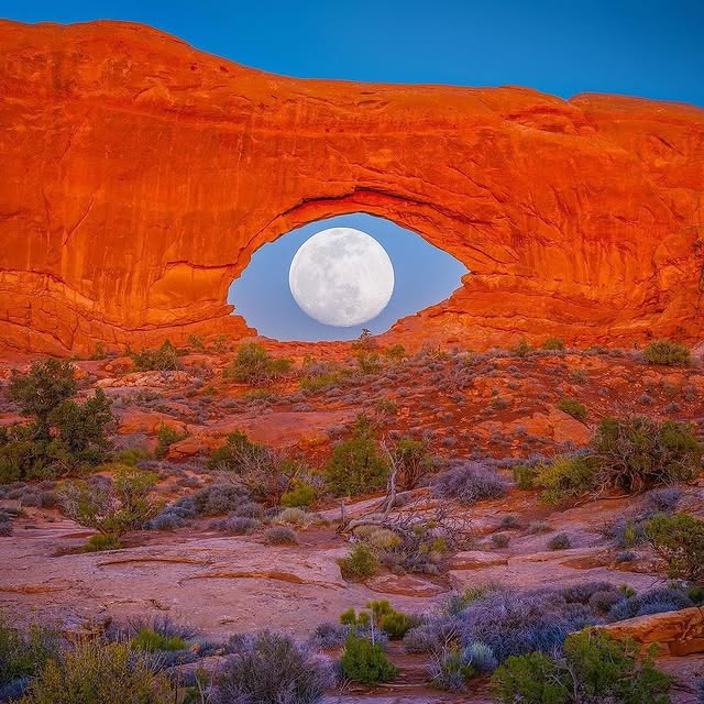  .....fever   'recent posts' 