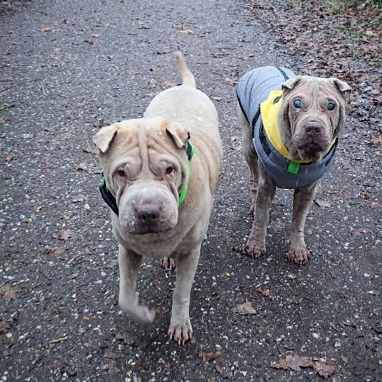  ......i.world   'recent posts' 