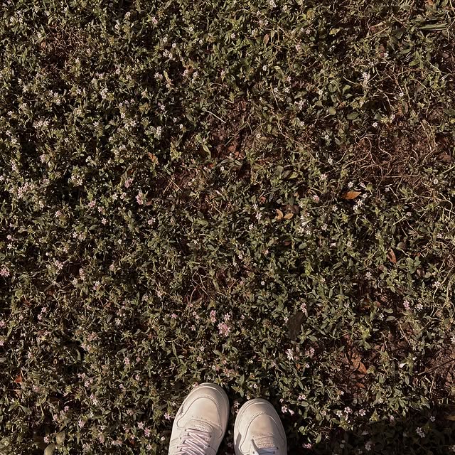  ......labarca   'recent posts' 