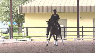  .....ageHub  'recent videos' 