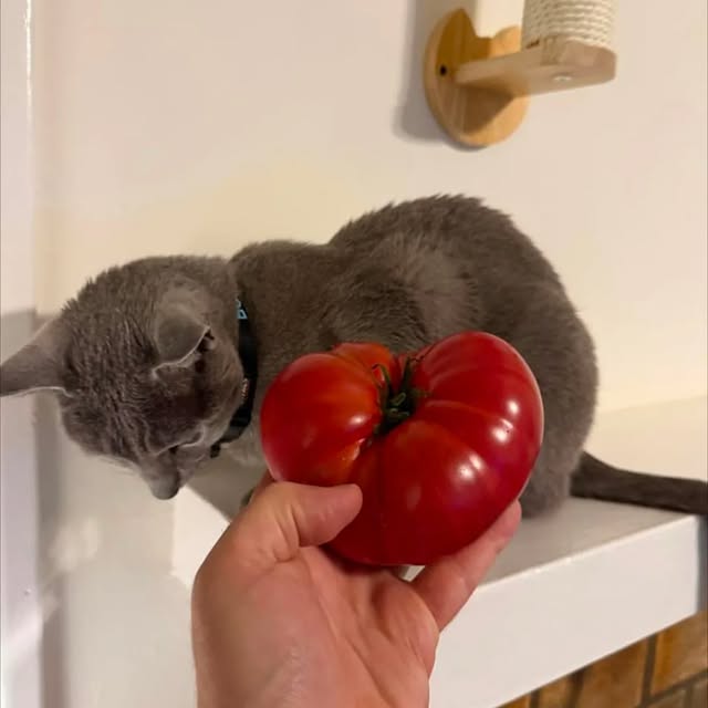  ......n_boris   'recent posts' 