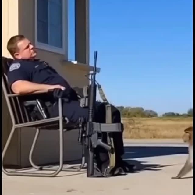  .......xplores   'recent posts' 