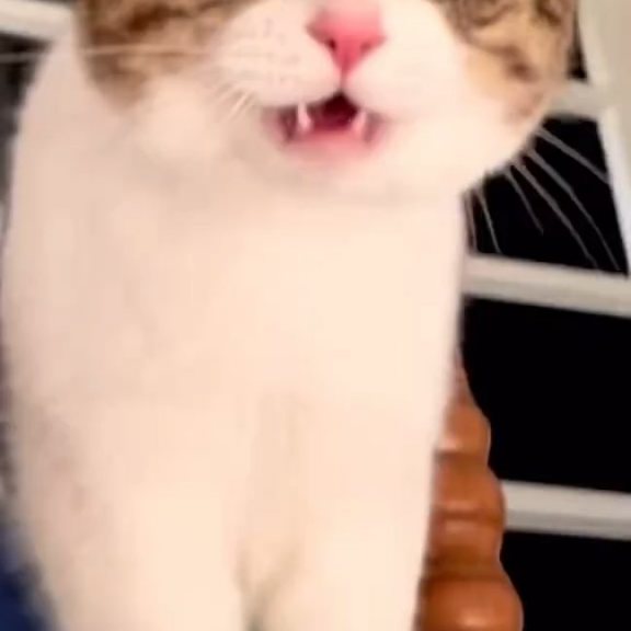  ....360vr   'recent posts' 