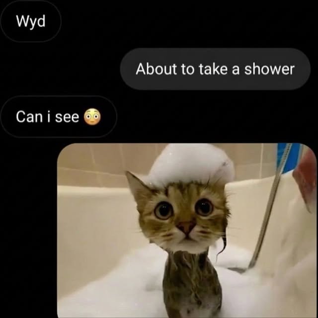  .....pawsz   'recent posts' 