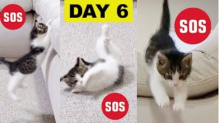  ....usic  'recent videos' 