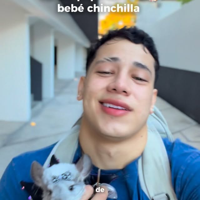  ........del_exito   'recent posts' 