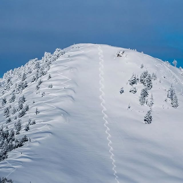  .......vibez   'recent posts' 