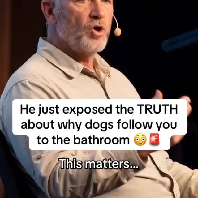  ..........n.retriever   'recent posts' 