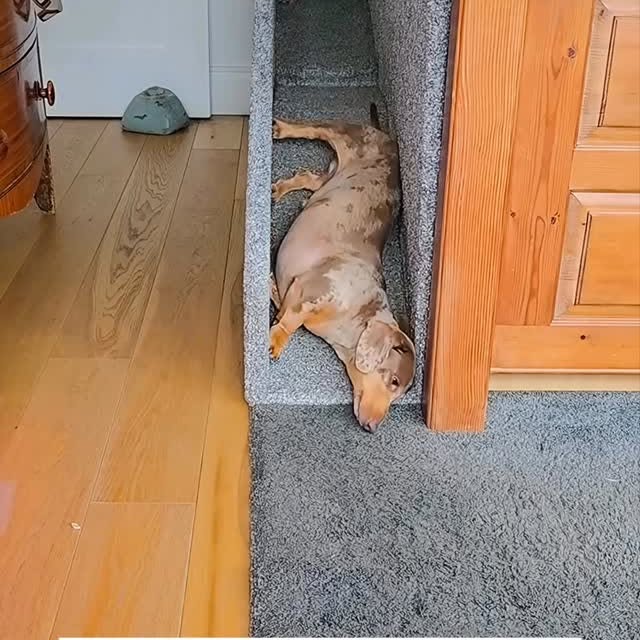  ........malsgram   'recent posts' 