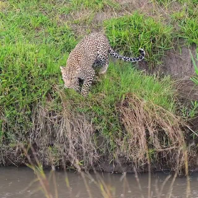  .........._sightings   'recent posts' 