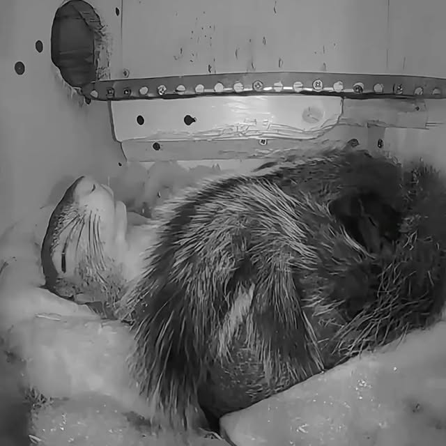  ...urre   'recent posts' 