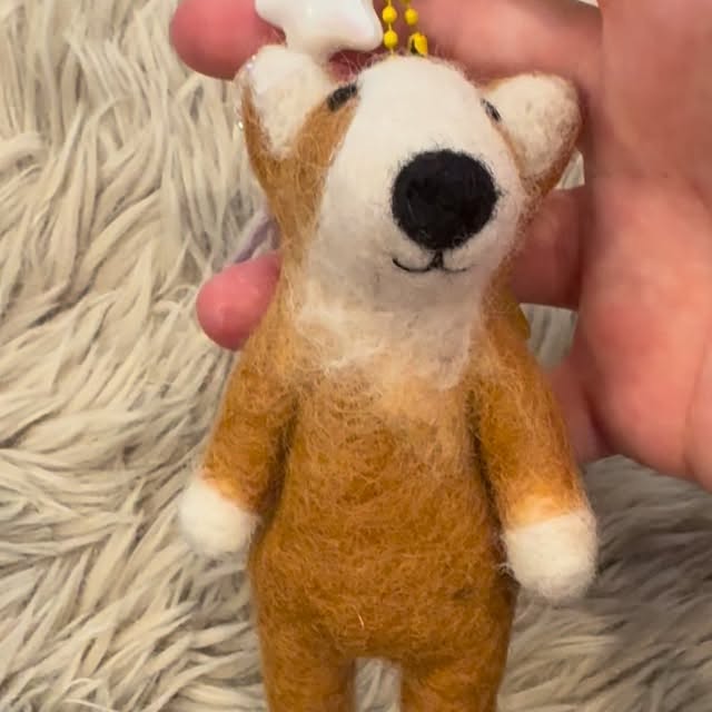  .....corgis   'recent posts' 