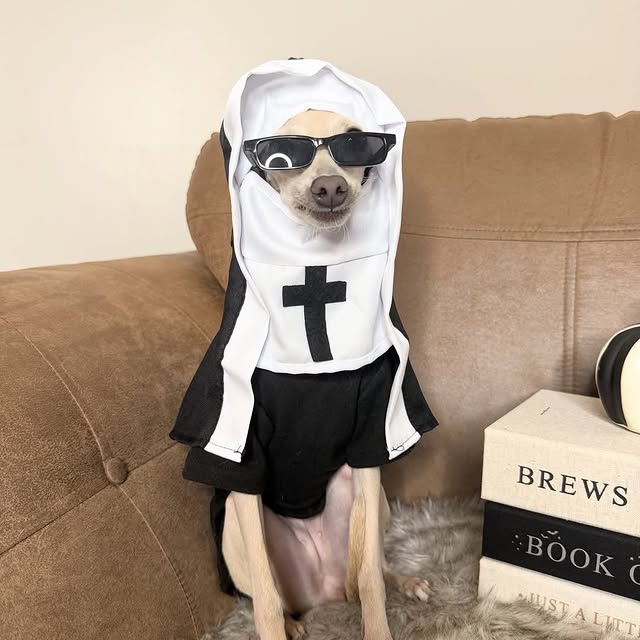  .....eiggy   'recent posts' 