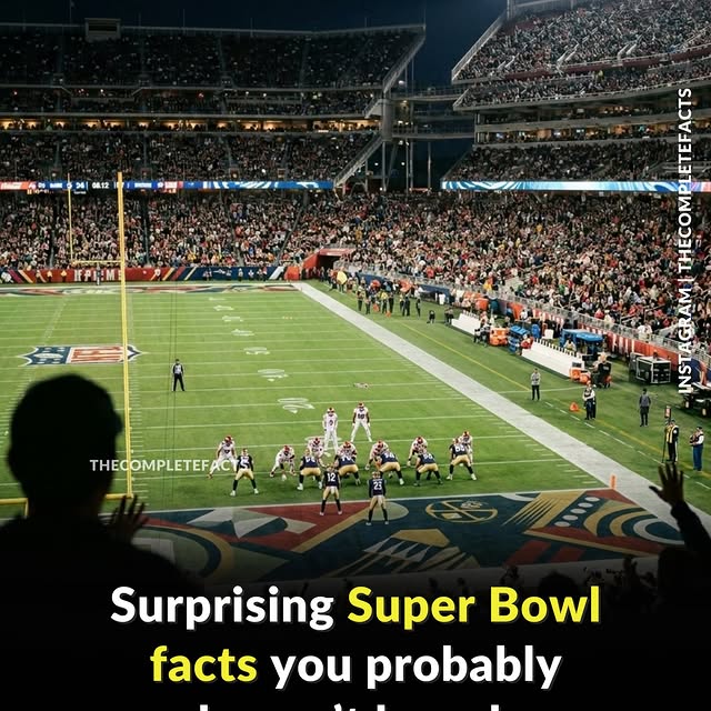  ........etefacts   'recent posts' 