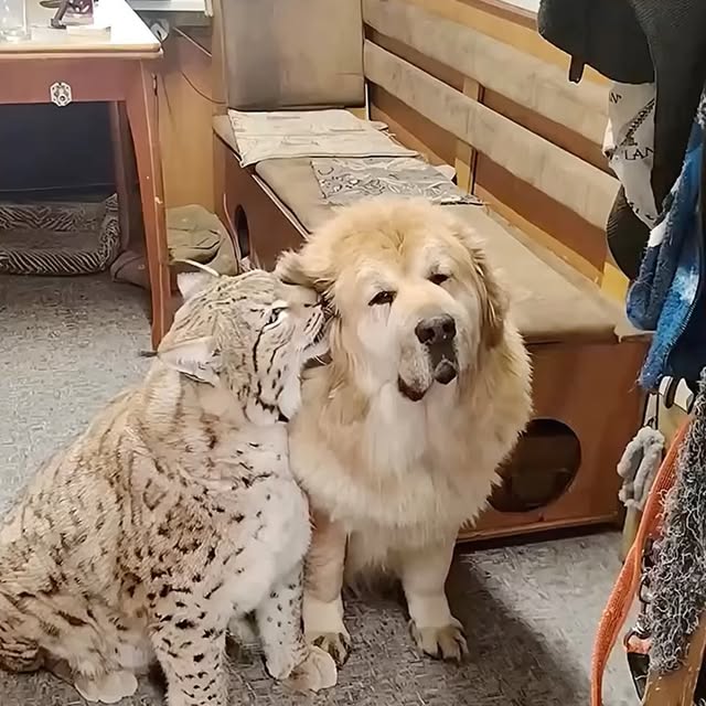  ...urre   'recent posts' 