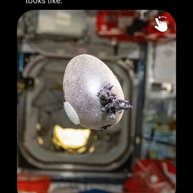  ......seviewz   'recent posts' 