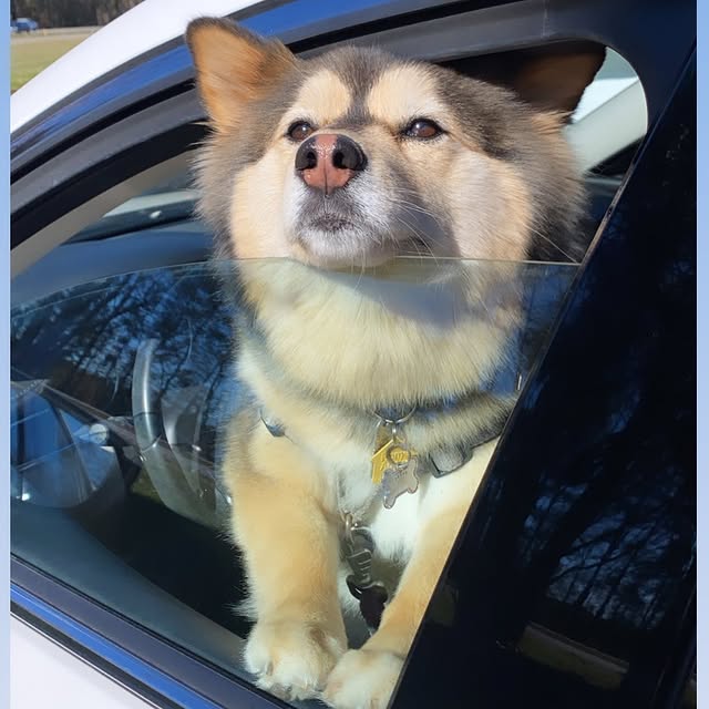  .....ykoda   'recent posts' 