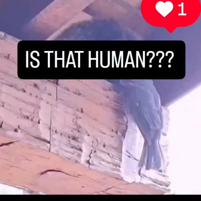  .......vnation   'recent posts' 