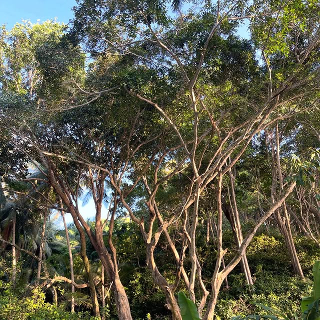  ......a.naik   'recent posts' 