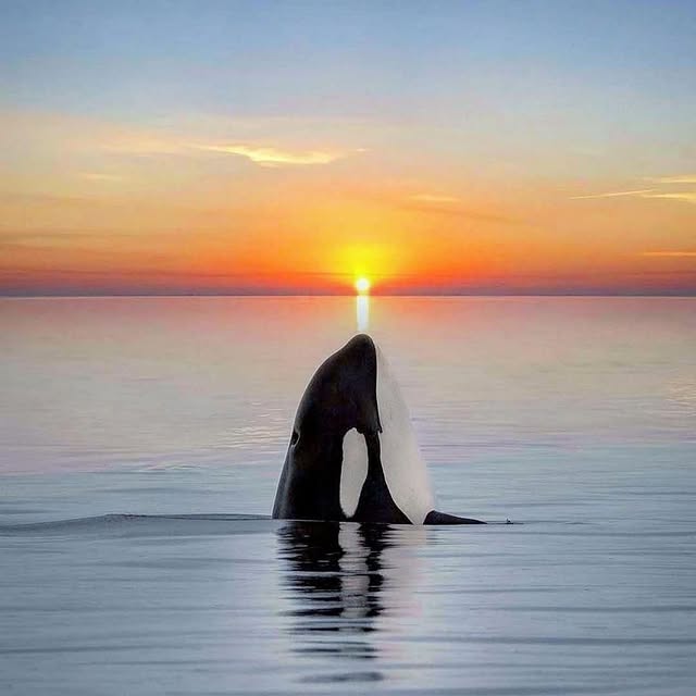  ......fervor   'recent posts' 