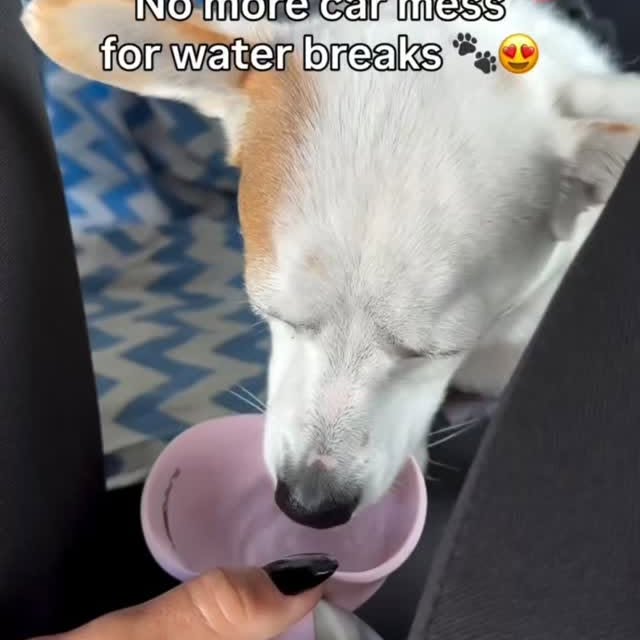  ..........ldogs_only   'recent posts' 