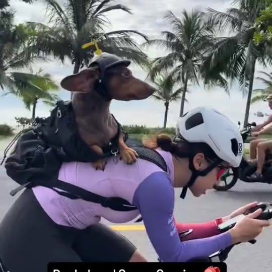  ..........fan.club_   'recent posts' 