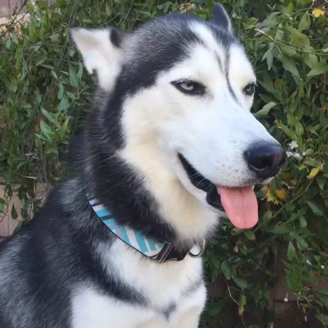  .....tmiles   'recent posts' 