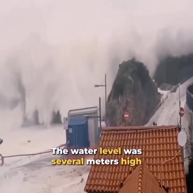  ......naturee   'recent posts' 