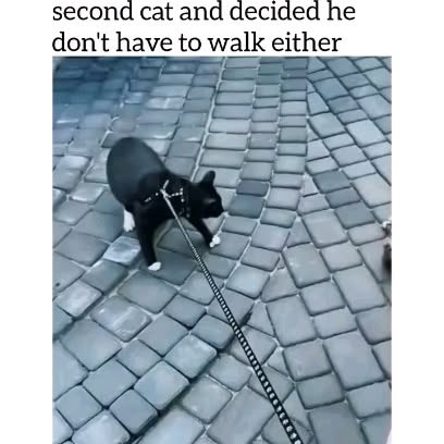  ......alking   'recent posts' 