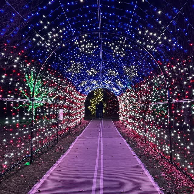  .......newport   'recent posts' 