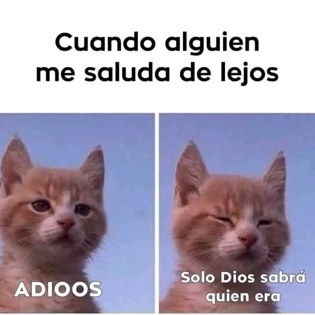  ......mbroso   'recent posts' 