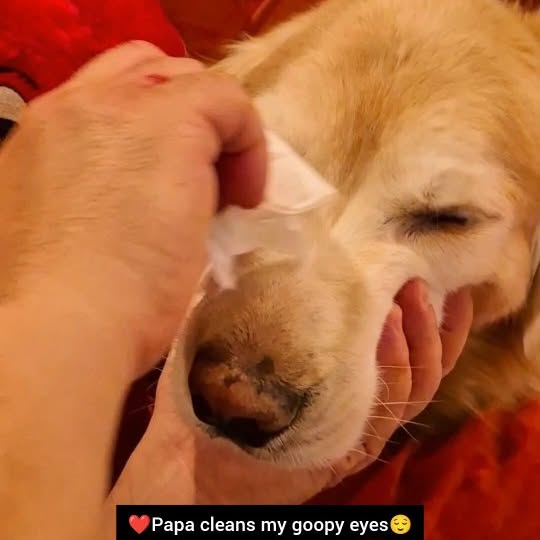  ..ps   'recent posts' 